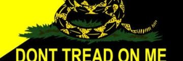 neuro_liberal's profile banner image