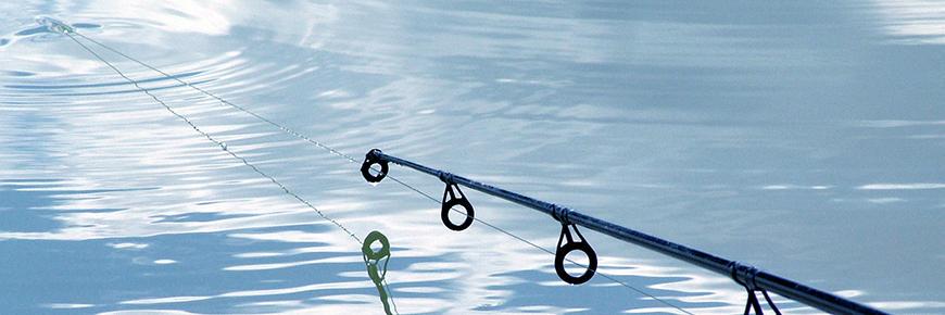 be_fishing's profile banner image