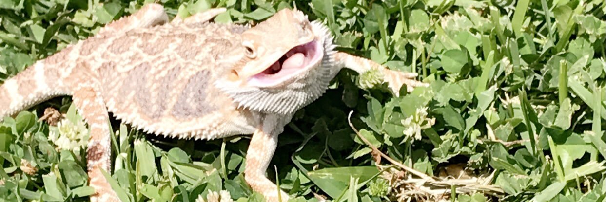 HaileyLedet's profile banner image