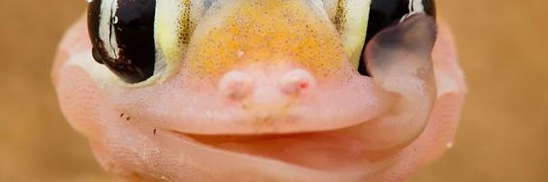 gusabio_m's profile banner image