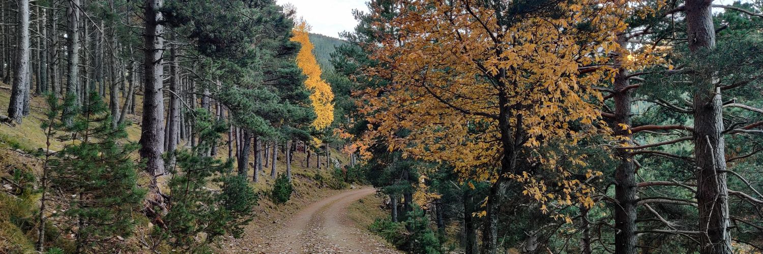 aleix_angrill's profile banner image