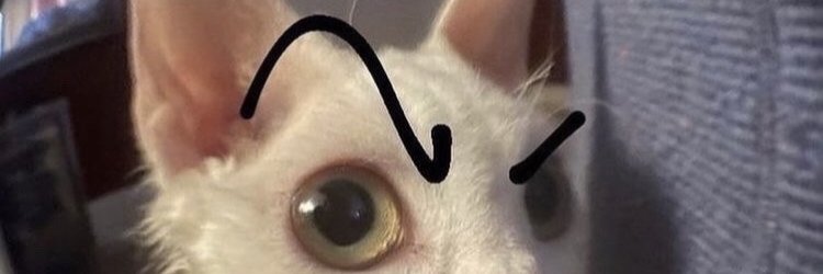 TrulyRealEnder's profile banner image