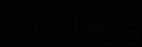 Vanessa banner