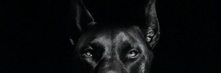africani's profile banner image