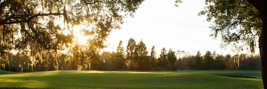 Country Club of WH banner