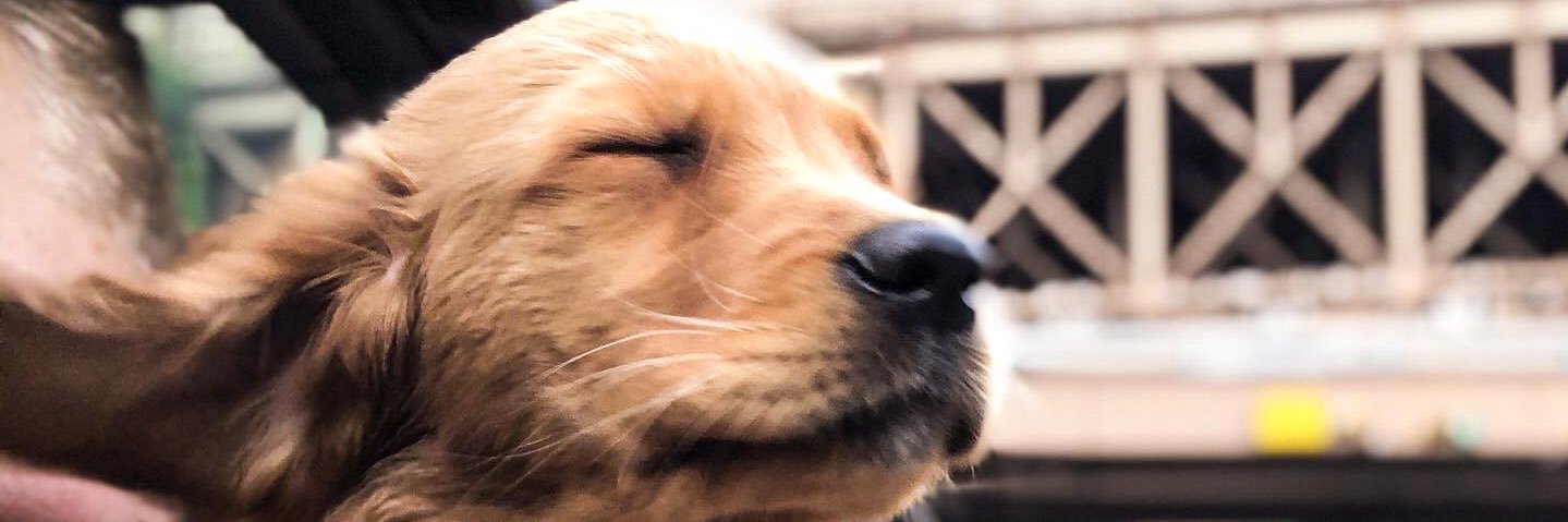 Kipa34's profile banner image