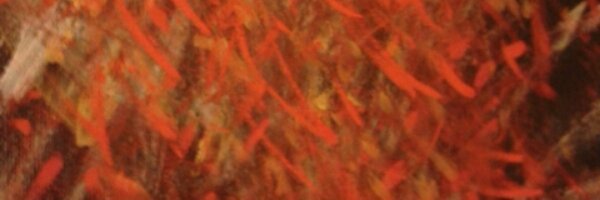 rednuv's profile banner image