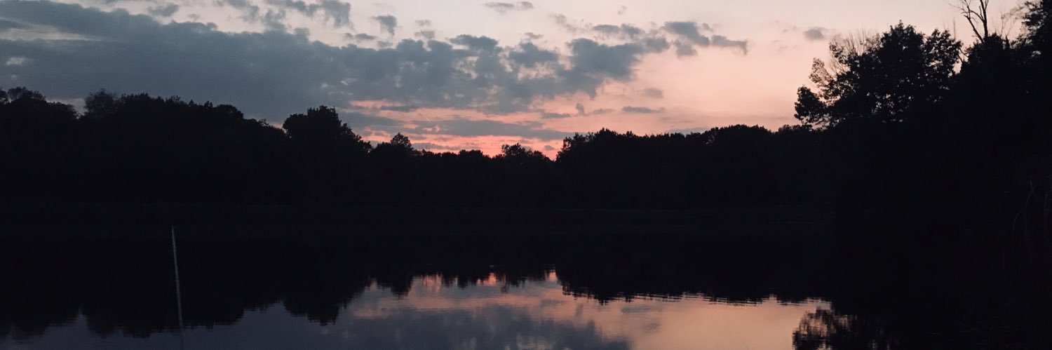 dumpshelf's profile banner image