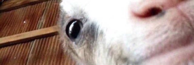 heyalexdonner's profile banner image