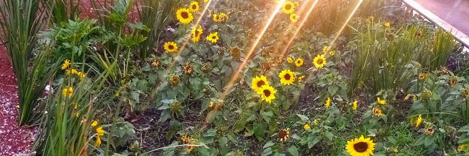 Milkytav's profile banner image