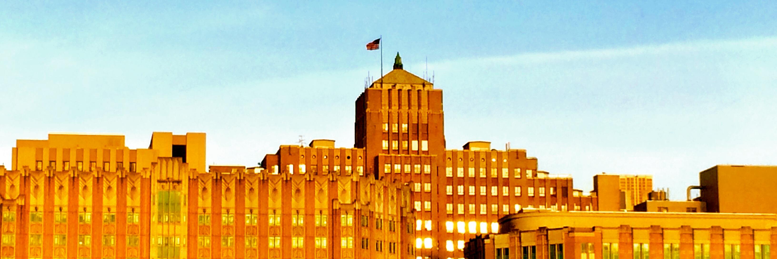 David Carlbom banner