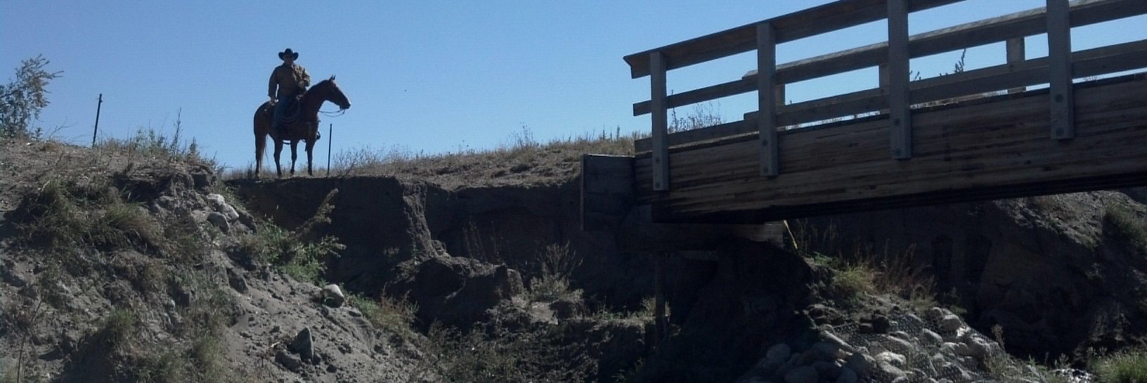 Steve Johnson, Ph.D. banner