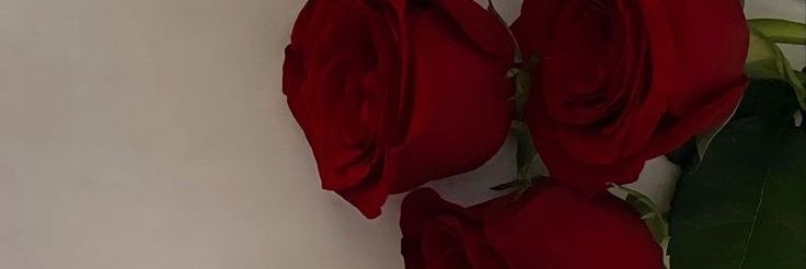 fabiola_islasg's profile banner image