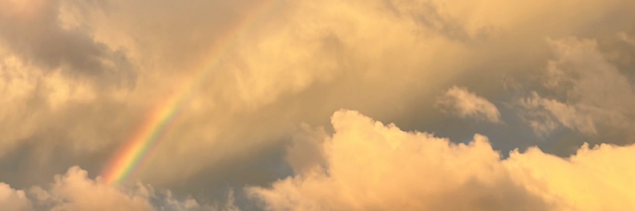 adriramirezm_'s profile banner image