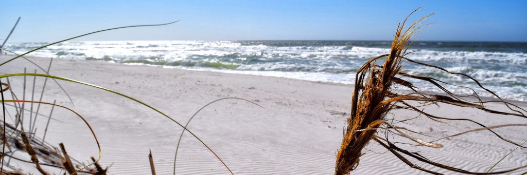 Pcolasaltlife's profile banner image