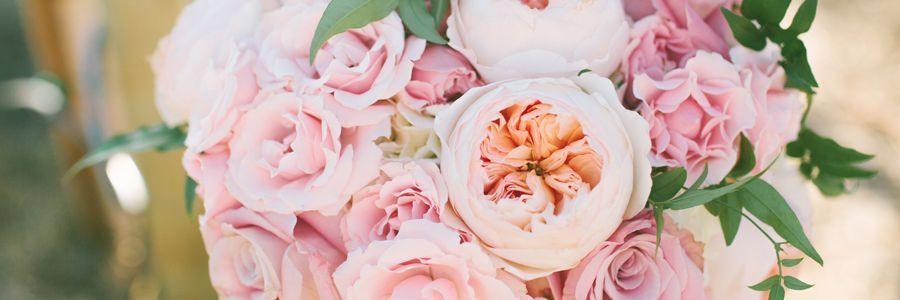 cakeandpunch_'s profile banner image