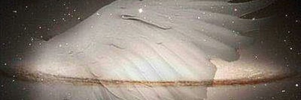 val_fina Profile Banner