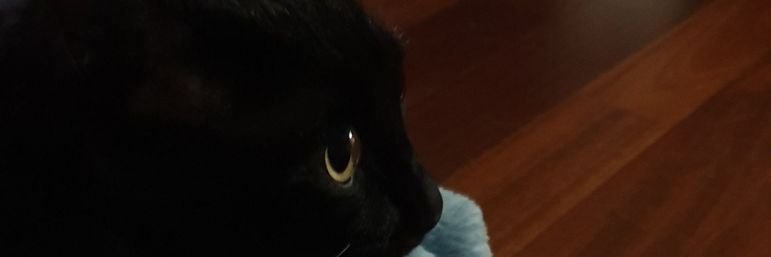ChiaraLocatell7's profile banner image