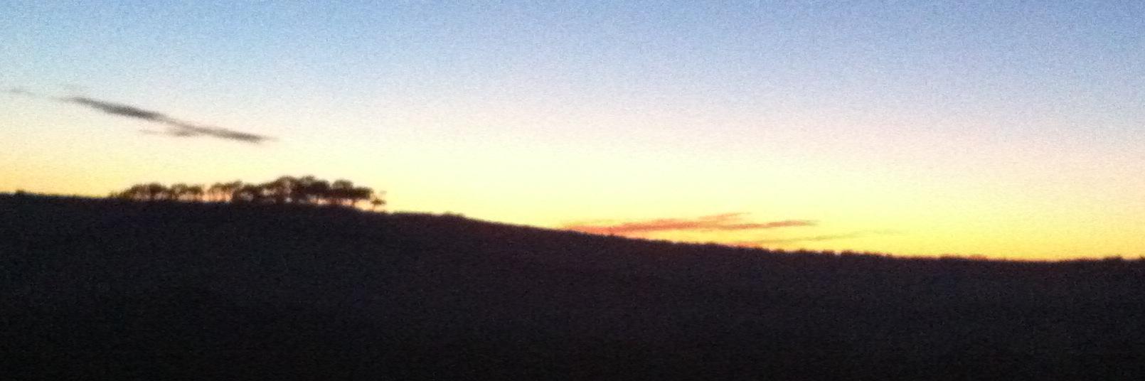 Tregillis_Farm's profile banner image