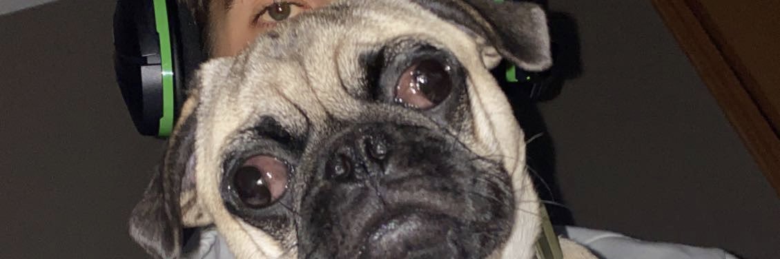 SmuckRyan's profile banner image