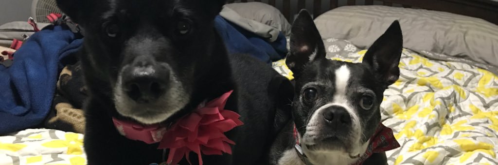 mgratz44's profile banner image