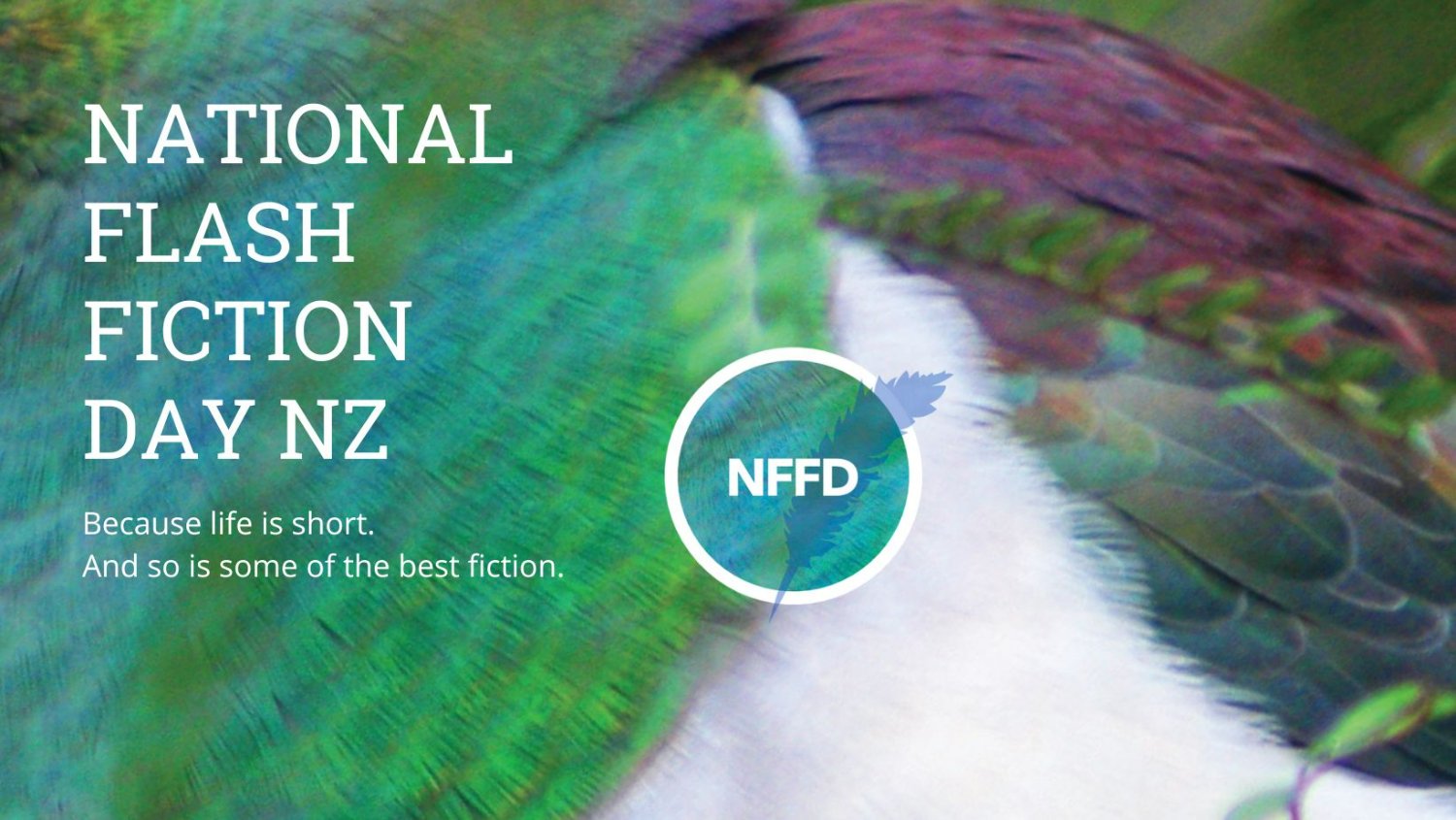 NFFDNZ's profile banner image