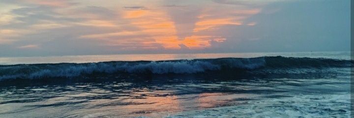 franfacts_'s profile banner image