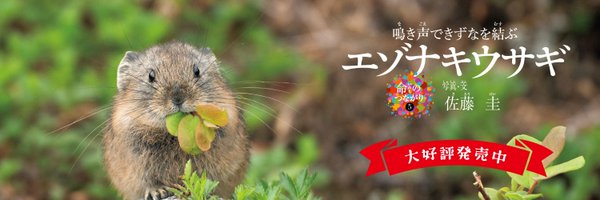 BunichiSS Profile Banner