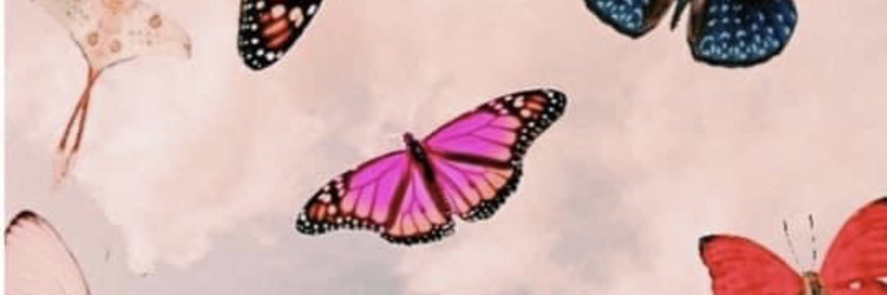 Kailee Peppers banner