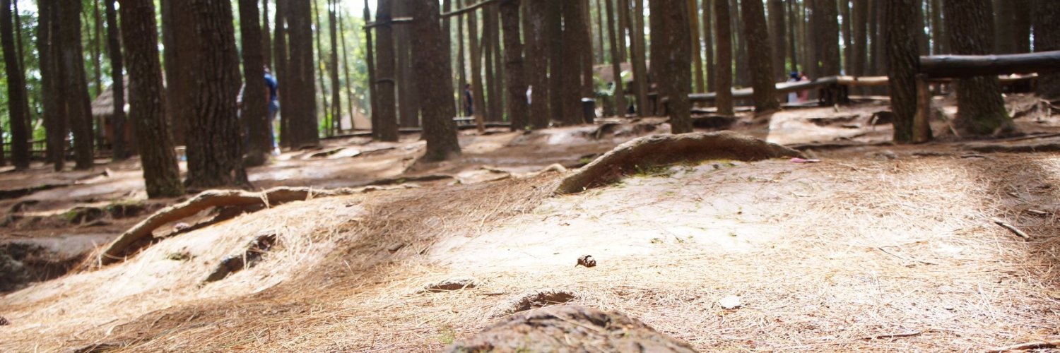 depapapi's profile banner image