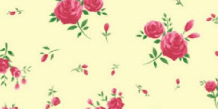 Geshi_Venus's profile banner image