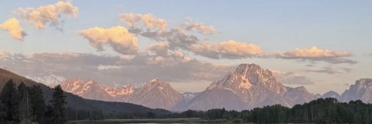 Wallfflower_'s profile banner image