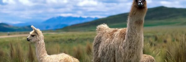 KevinStandeven Profile Banner