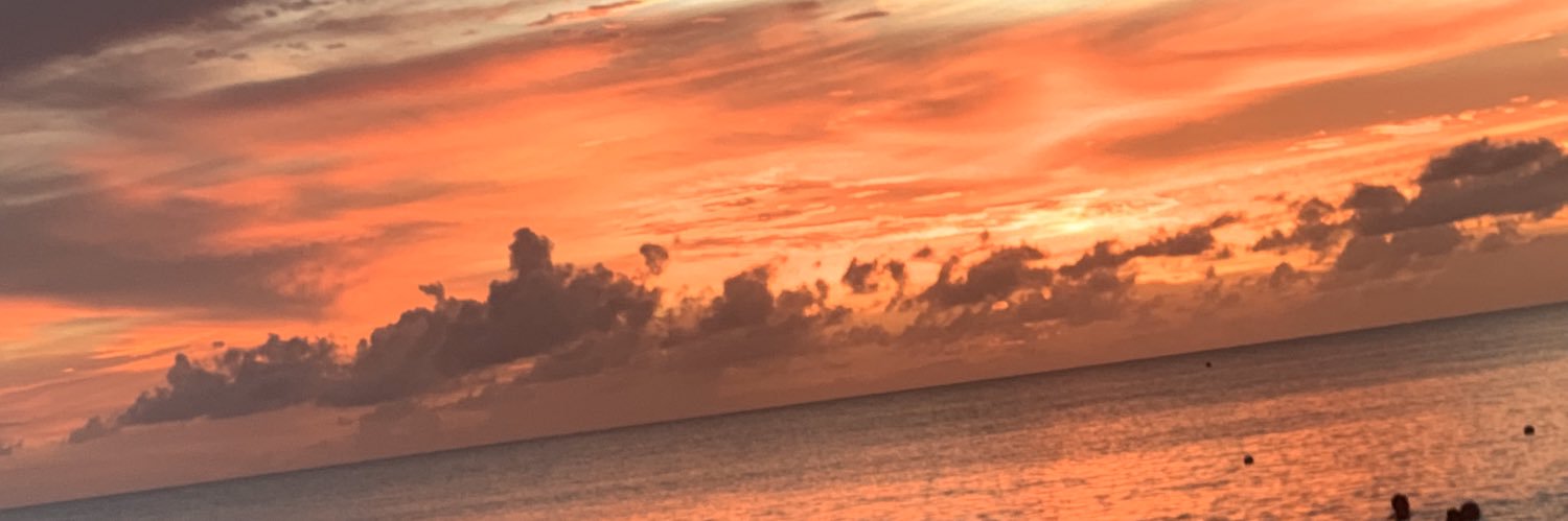 LinoTheMidget's profile banner image