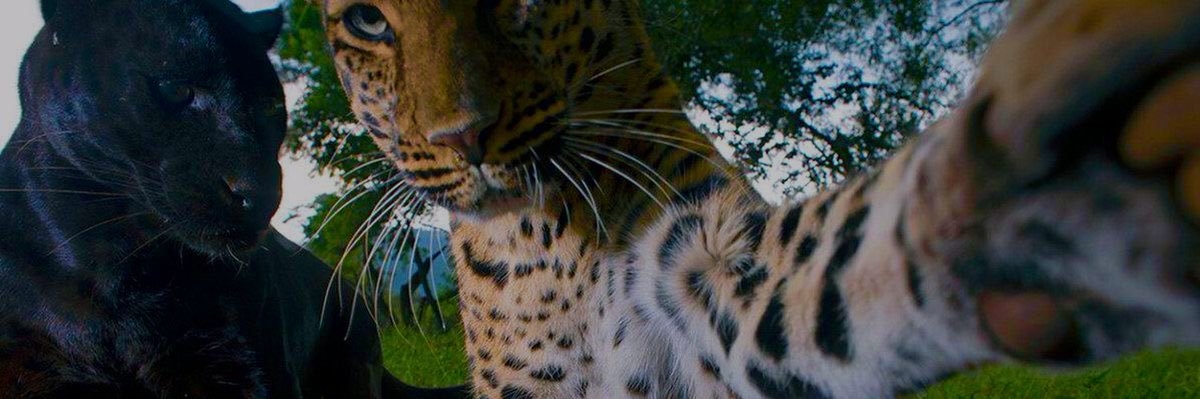 kruiizz's profile banner image
