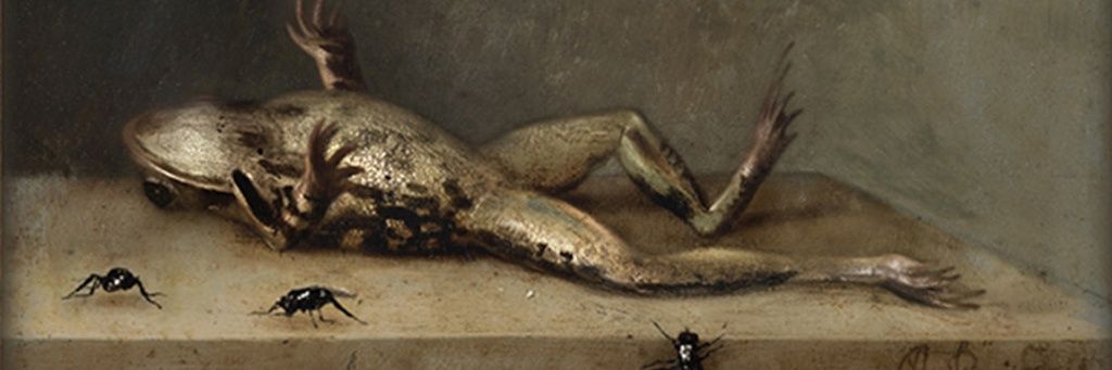 DORIS banner