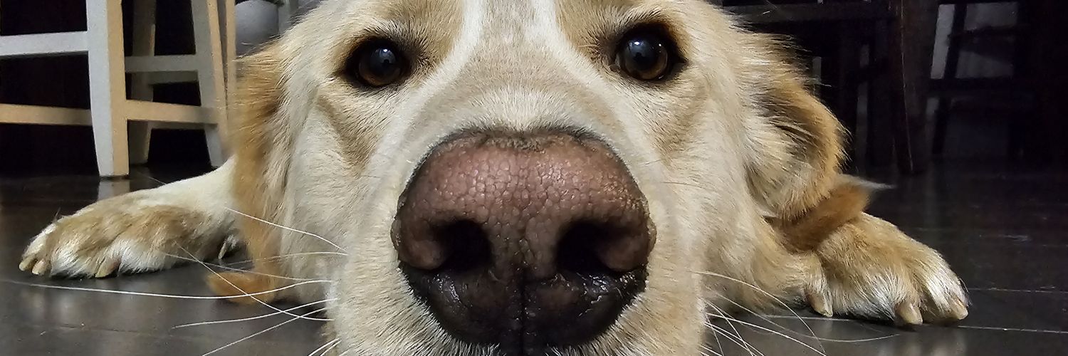 Justin_JBone's profile banner image