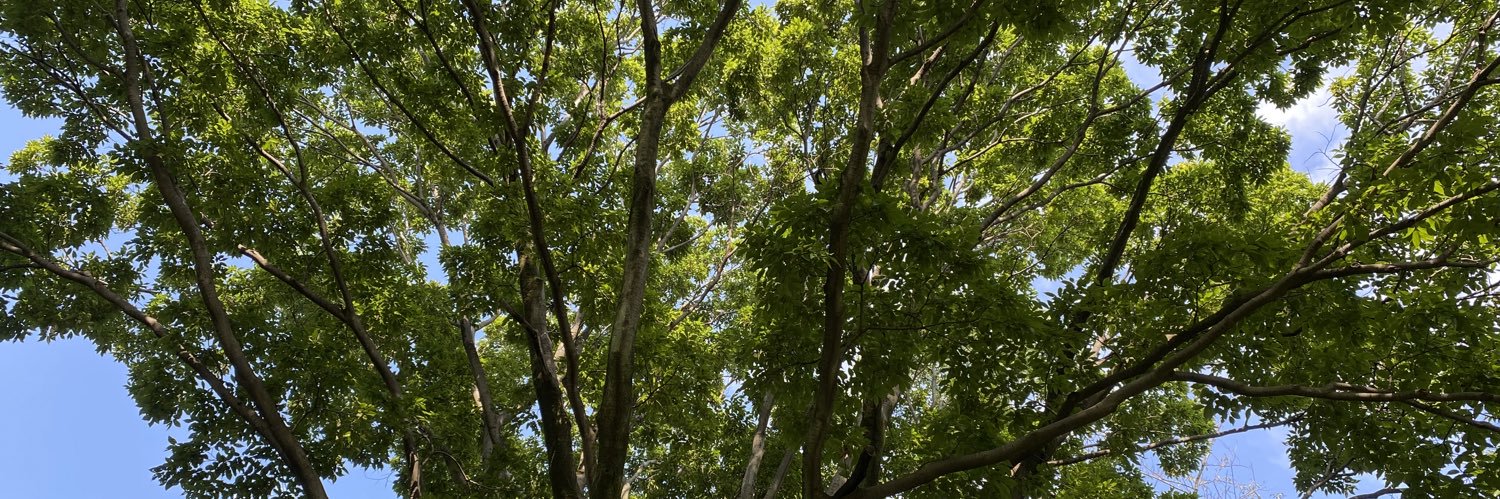 🦋あー🦋🧷NO WAR! banner