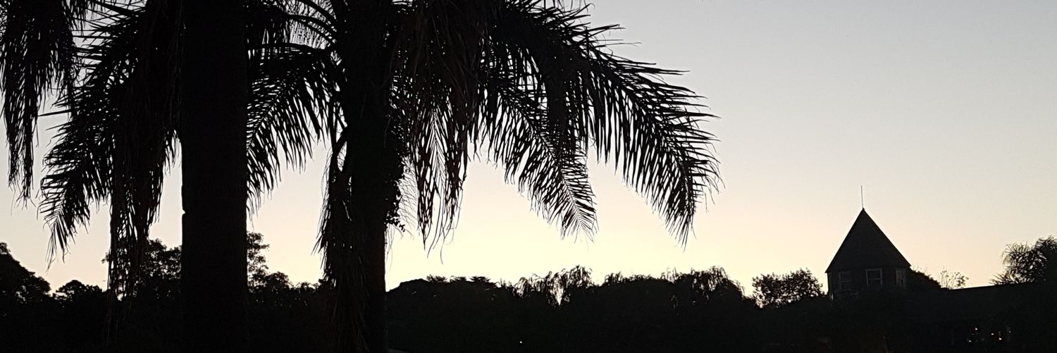 Ori_Marcos's profile banner image