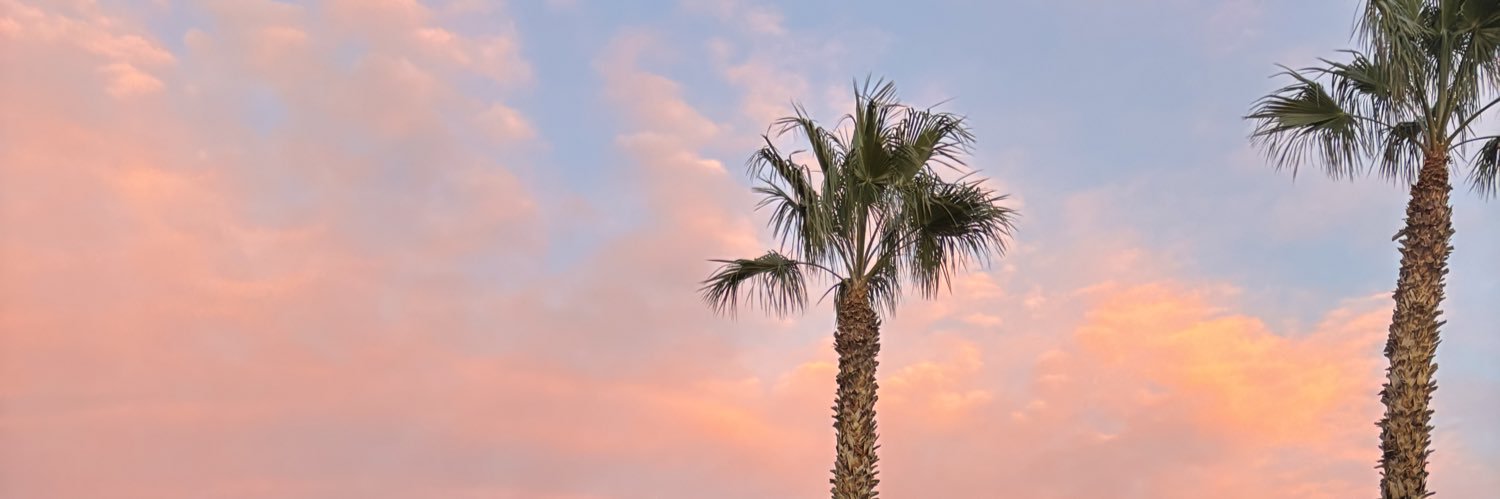 bnleamon's profile banner image