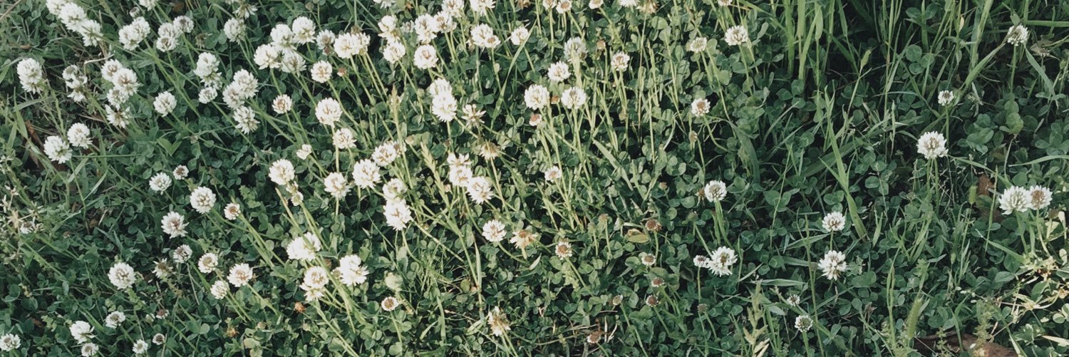 PhamSkye's profile banner image
