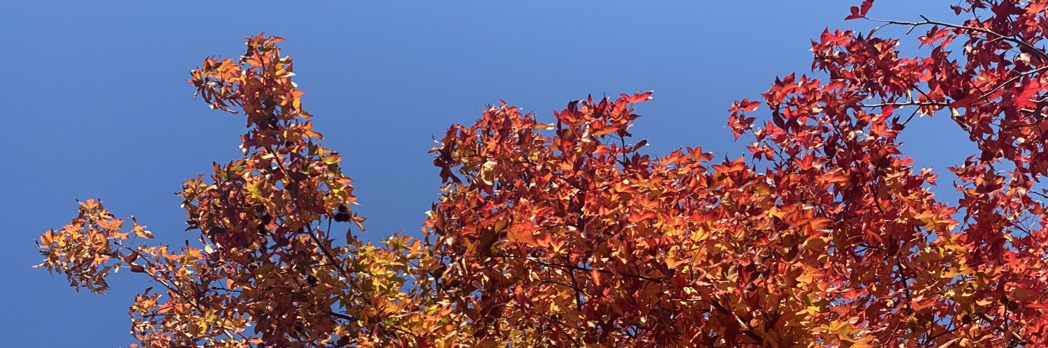 Ethan_Wheeti's profile banner image