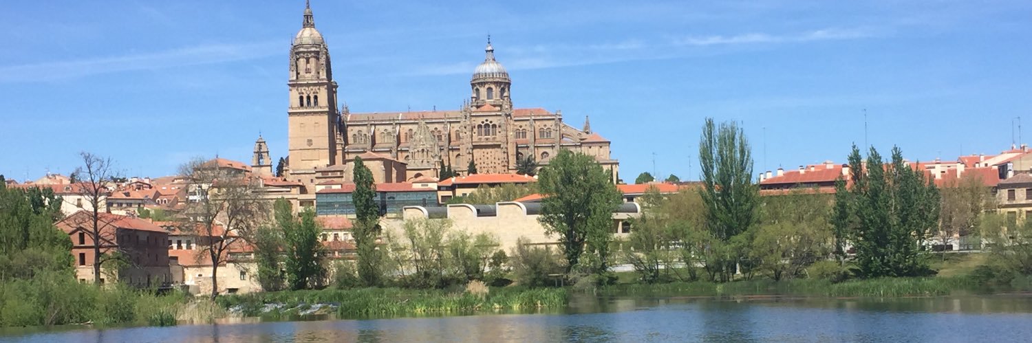 javierpaxo's profile banner image