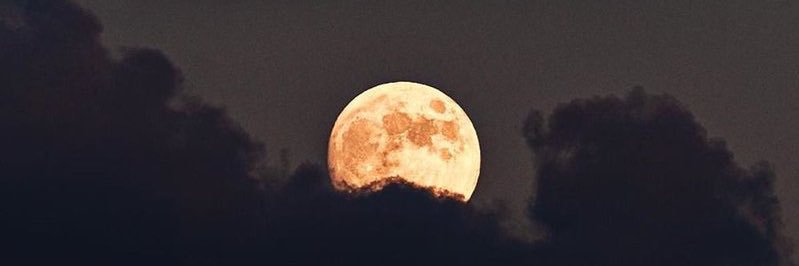 lolAndyC_'s profile banner image