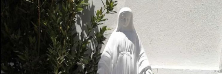 soledadromeroc's profile banner image