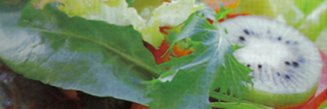 Body_Detoxifica's profile banner image
