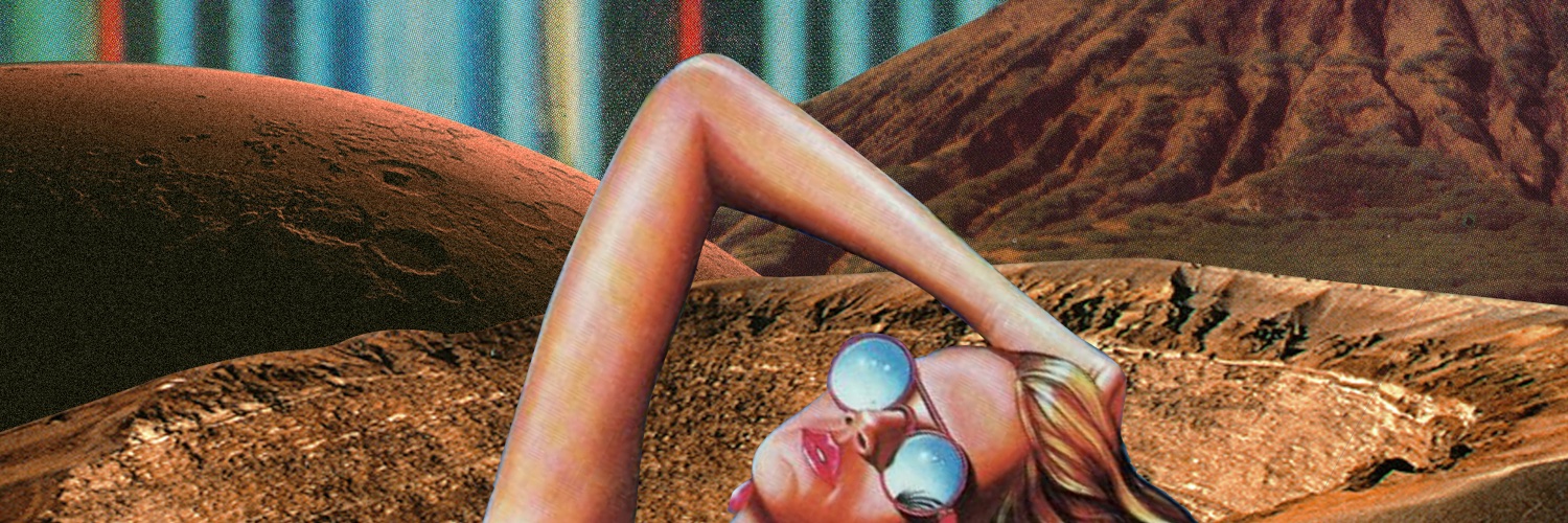 Mainframe Bird banner