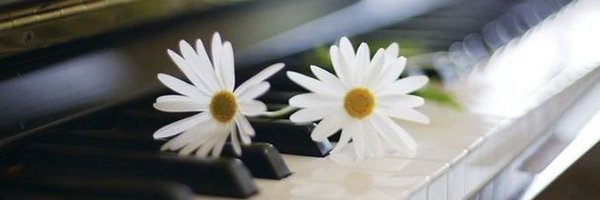 BulcahanTurk Profile Banner