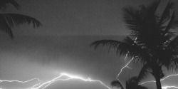 dobrevctvgdr's profile banner image