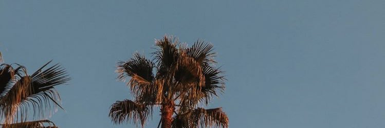 taytayreneee's profile banner image